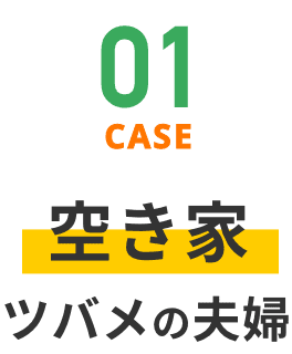 CASE01 空き家 ツバメの夫婦